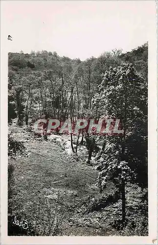 Ansichtskarte AK Environs de St Sulpice les Feuilles (H V) Vallee de la Benaize