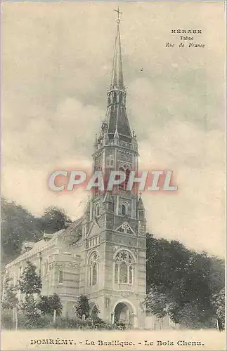 Cartes postales Domremy La Basilique Le Bois Chenu