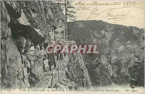 Cartes postales De la Schlucht au Hohneck (Cote d'Alsace) Sentier du Frankental