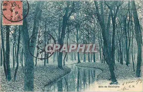 Cartes postales Bois de Boulogne Paris