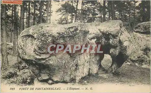 Ansichtskarte AK Foret de Fontainebleau L'Elephant