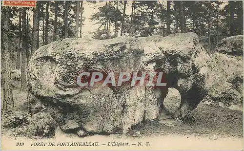 Cartes postales Foret de Fontainebleau L'Elephant