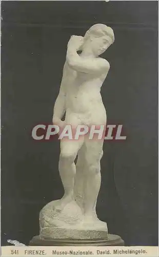 Cartes postales Firenze Museo Nazionale David Michelangelo