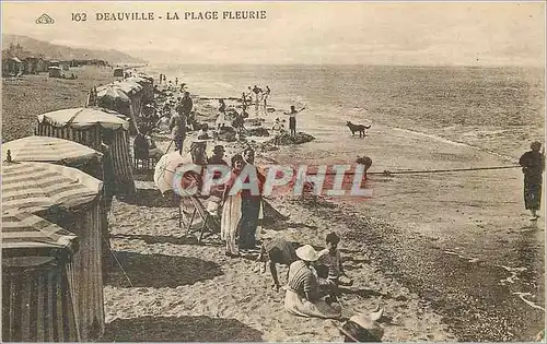 Cartes postales Deauville La Plage Fleurie