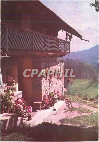 Cartes postales moderne Maison