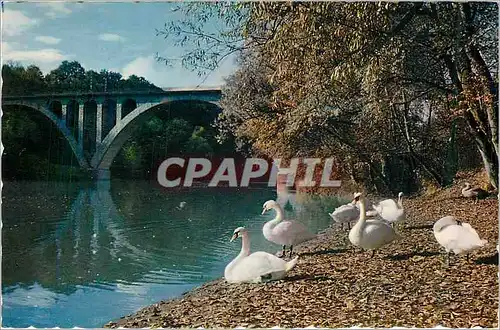 Cartes postales moderne Geneve Le Viaduc