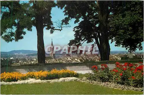 Cartes postales moderne Berne Vue du Jardin des Roses