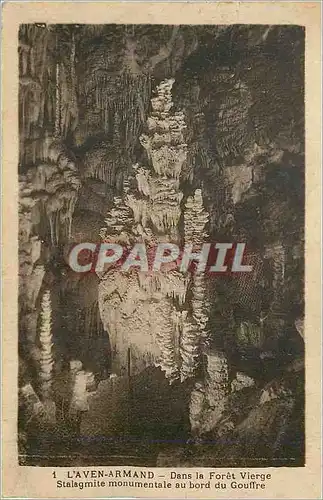 Cartes postales L'Aven Armand Dans la Foret Vierge Stalagmite Monumentale au Bord du Gouffre