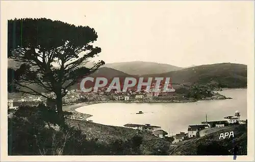 Cartes postales moderne Banyuls (Pyr Or) Vue Generale