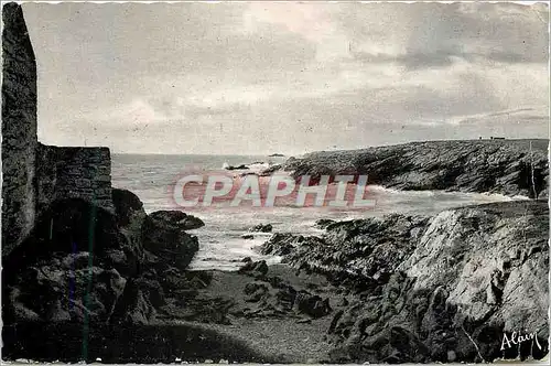 Cartes postales moderne Quiberon (Morbihan) La Cote Sauvage Le Vivier