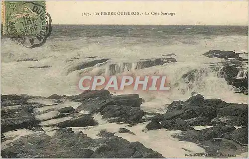 Cartes postales St Pierre Quiberon La Cote Sauvage