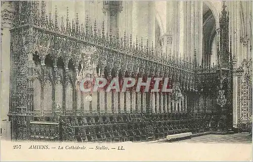 Cartes postales Amiens La Cathedrale Stalles