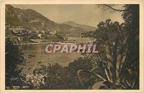 Cartes postales Monte Carlo (Principaute de Monaco) Cote d'Azur La Douce France Vue prise des Jardins de Monaco