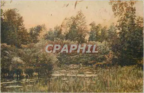 Cartes postales Fantaisie