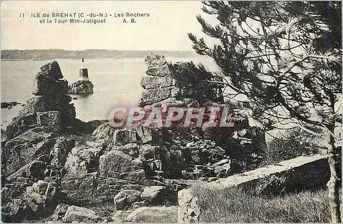 Cartes postales Ile de Brehat (C du N) Les Rochers et la Tour Min Joliguet