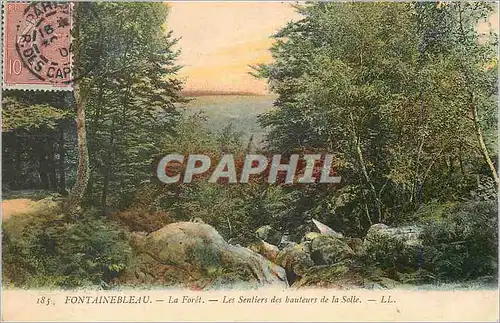 Cartes postales Fontainebleau La Foret Les Sentiers des Hauteurs de la Solle