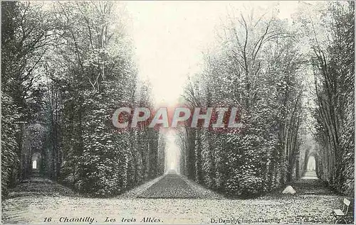 Ansichtskarte AK Chantilly Les Trois Allees