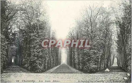 Cartes postales Chantilly Les Trois Allees