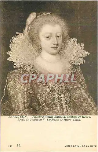 Cartes postales Musee Royal de la Haye Portrait d'Amalin Elisabeth