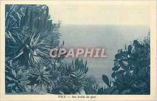 Cartes postales Nice Ses Bords de Mer