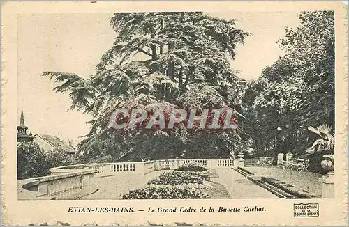 Cartes postales Evian les Bains Le Grand Cere de la Buvette Cachat