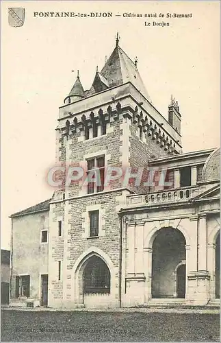 Cartes postales Fontaine les Dijon Chateau Natal de St Bernard