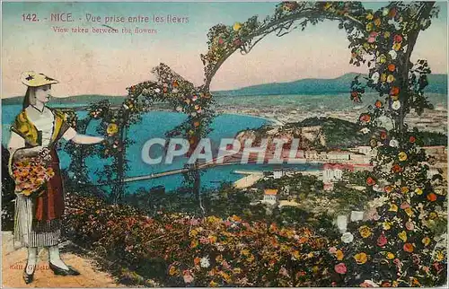 Cartes postales Nice vue prise entre les Fleurs