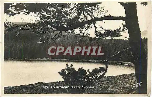 Moderne Karte l'Auvergne le Lac Serviere