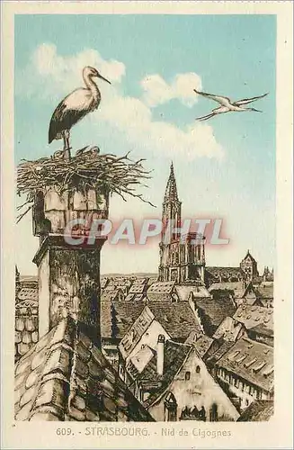 Cartes postales Strasbourg Nid de Cigognes