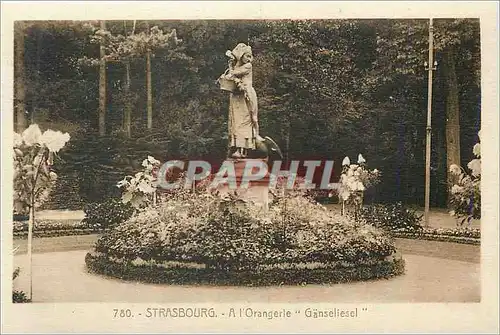 Cartes postales Strasbourg a l'Orangerie Ganseliesel
