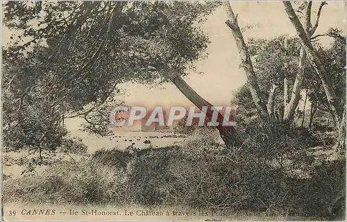 Cartes postales Cannes Ile St Honorat le Chateau