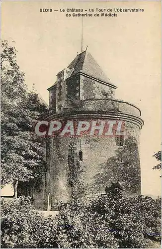 Cartes postales Blois le Chateau