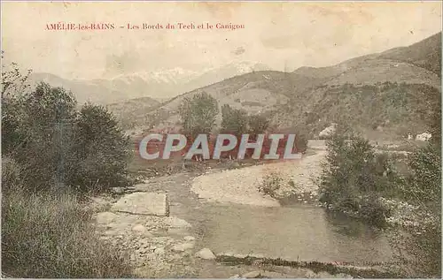 Cartes postales Amelie les Bains les Bords du Tech et le Canigon