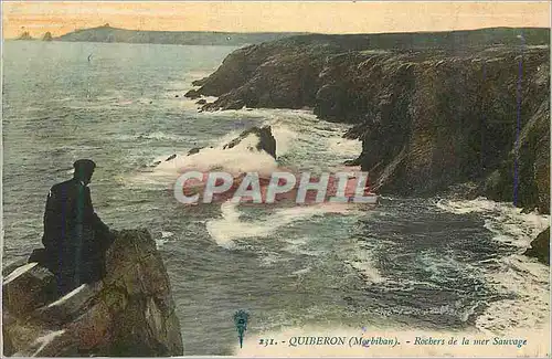Cartes postales Quiberon (Morbihan) Rochers de la Mer Sauvage