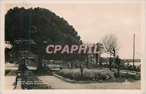 Cartes postales moderne Juan les Pins Le Square du Gros Pins