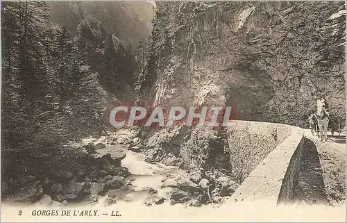 Cartes postales Gorges de l'Arly Cheval (animee)
