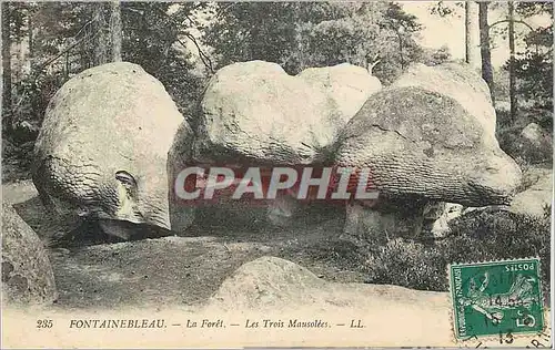 Ansichtskarte AK Fontainebleau La Foret Les Trois Mausolees