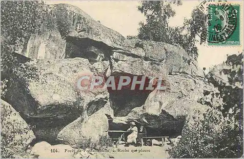 Ansichtskarte AK Foret de Fontainebleau Roche qui Pleure