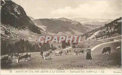 Cartes postales Route du Col des Aravis a la Clusaz Beauregard (alt 1652 m) Vaches