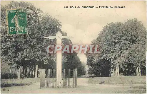 Ansichtskarte AK Bois de Grosbois L'Etoile de Bellevue