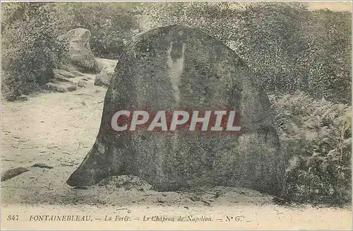 Cartes postales Fontainebleau La Foret Le Chapeau de Napoleon
