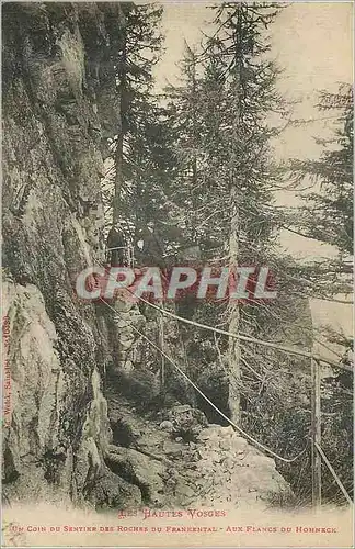 Cartes postales Les Hautes Vosges Un Coin du Sentier des Roches du Frankental aux Flancs du Hohneck