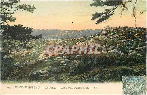 Ansichtskarte AK Fontainebleau La Foret Les Gorges d'Aprenont