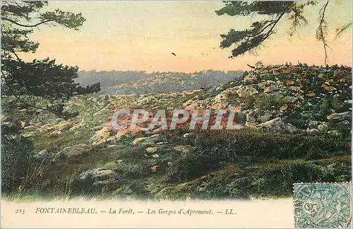 Cartes postales Fontainebleau La Foret Les Gorges d'Aprenont