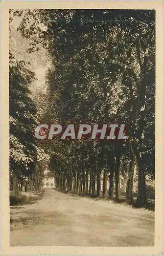 Cartes postales Richelieu (I et L) les Promenades
