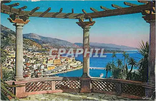 Cartes postales Monte Carlo la Principaute vue du Jardin Exotique