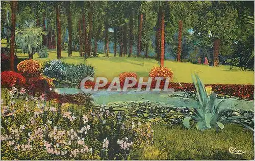 Cartes postales Monte Carlo les Jardins du Casino