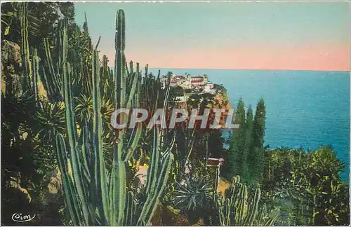 Cartes postales Monaco vu a Travers les Jardins Exotiques
