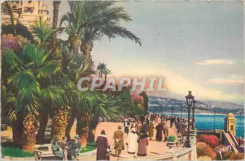 Cartes postales Monte Carlo (Principaute de Monaco) Cote d'Azur