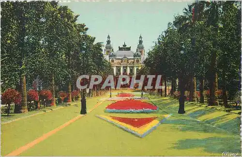 Cartes postales Monte Carlo le Casino et les Jardins